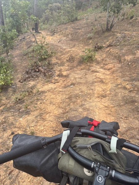 the single track trail
